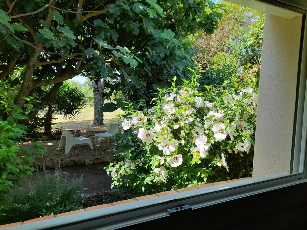 Villa Aigues Vives Boutenac 외부 사진