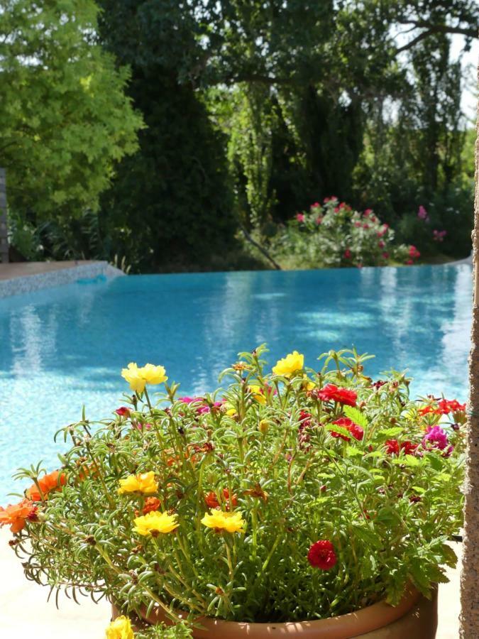 Villa Aigues Vives Boutenac 외부 사진