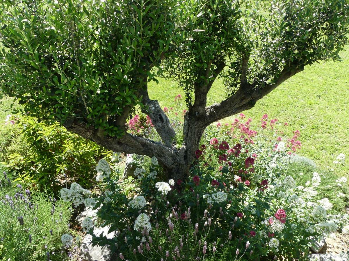 Villa Aigues Vives Boutenac 외부 사진